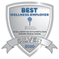 Icon for Wellness Silver